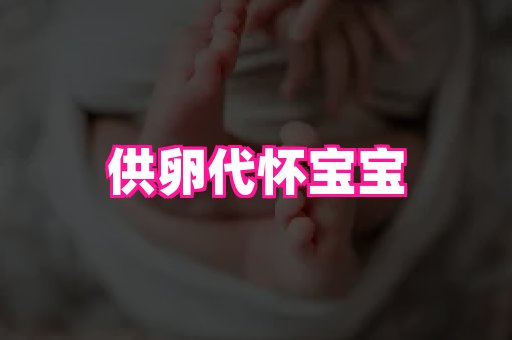 gfg孕网 3