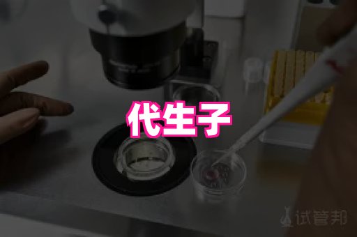 gfg孕网 4